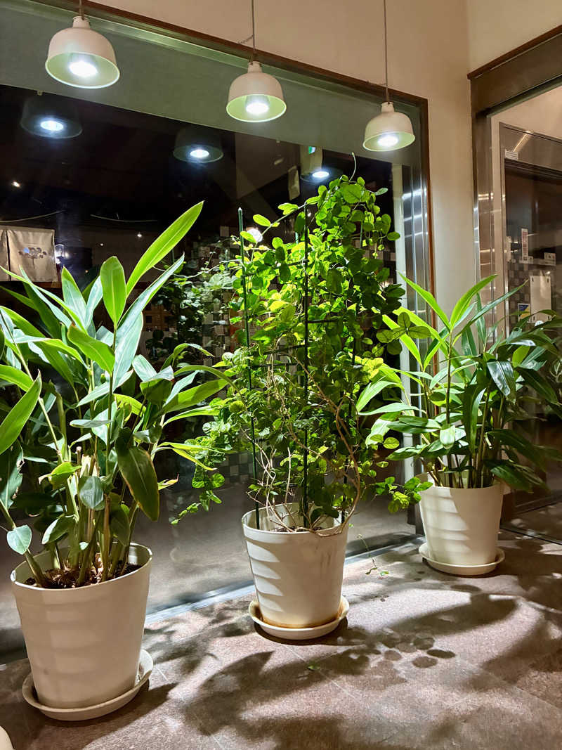 susumuさんの岐阜各務原 恵みの湯のサ活写真