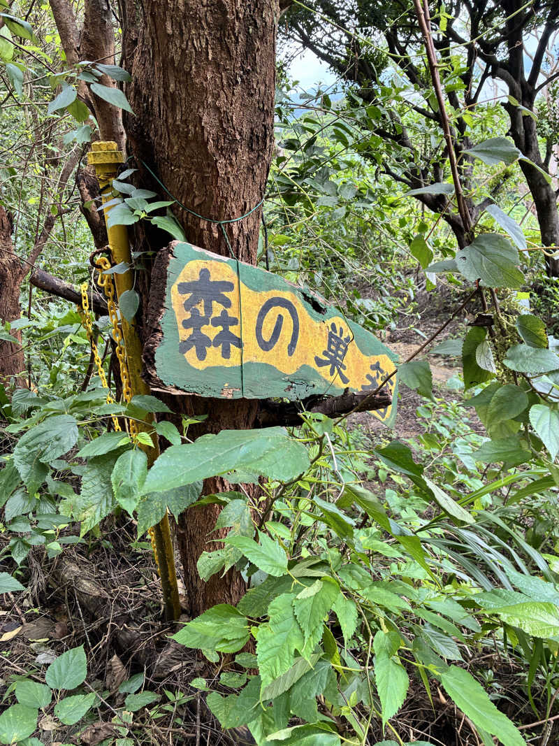 susumuさんのサウナ 森の巣箱のサ活写真