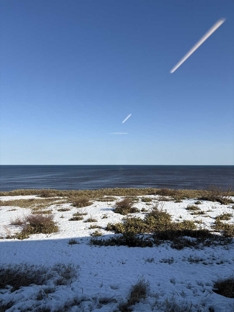 ヴィッケさんの晩成温泉のサ活写真