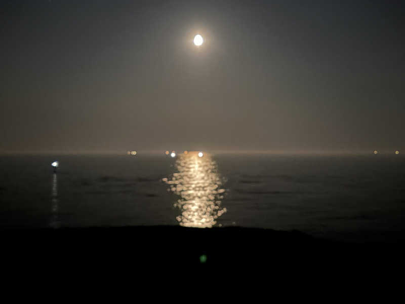 ヴィッケさんのさくら湯のサ活写真