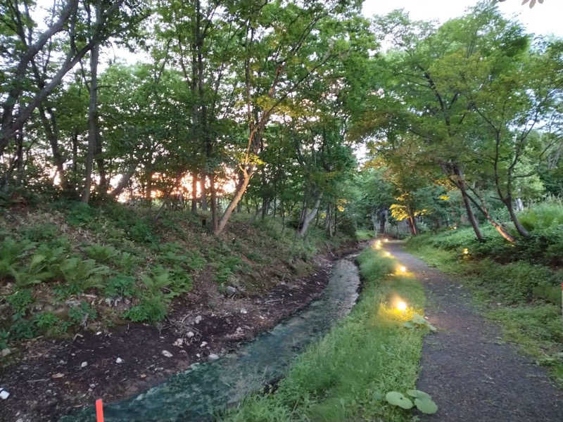 ヴィッケさんの奥屈斜路温泉ランプの宿森つべつのサ活写真