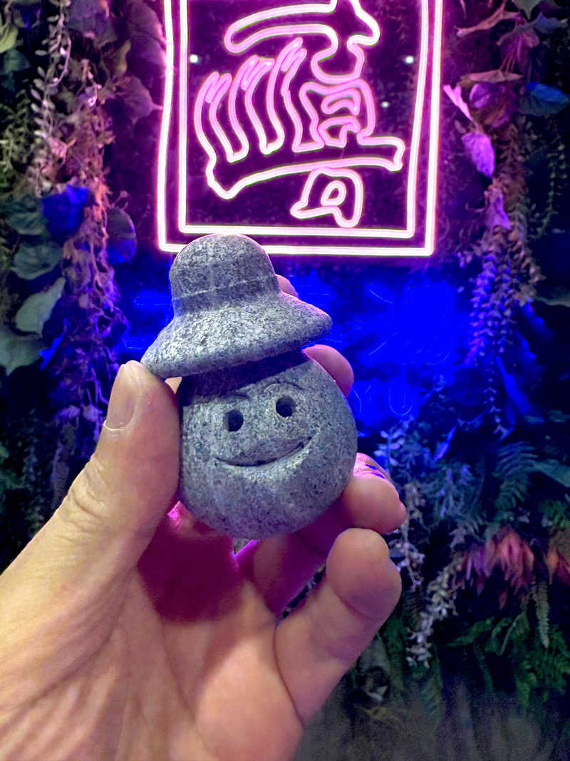 ヴィッケさんの天然温泉 大喜湯昭和店のサ活写真