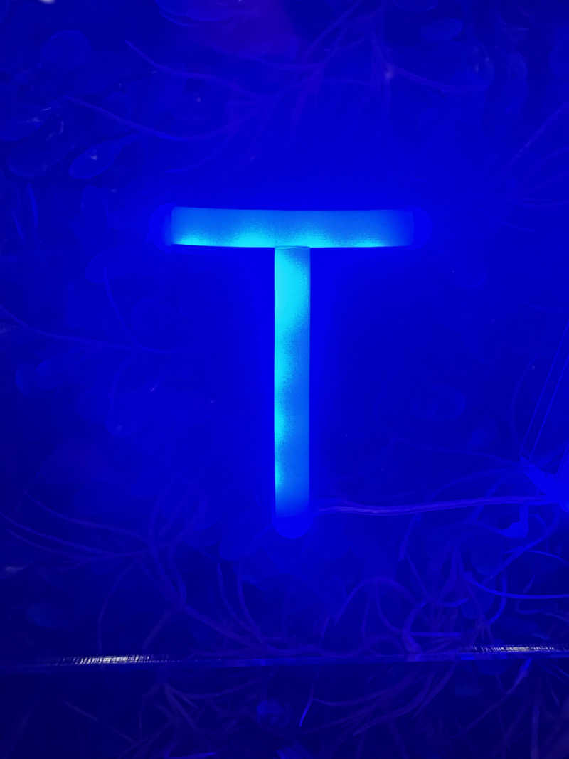 ヴィッケさんの天然温泉 大喜湯昭和店のサ活写真