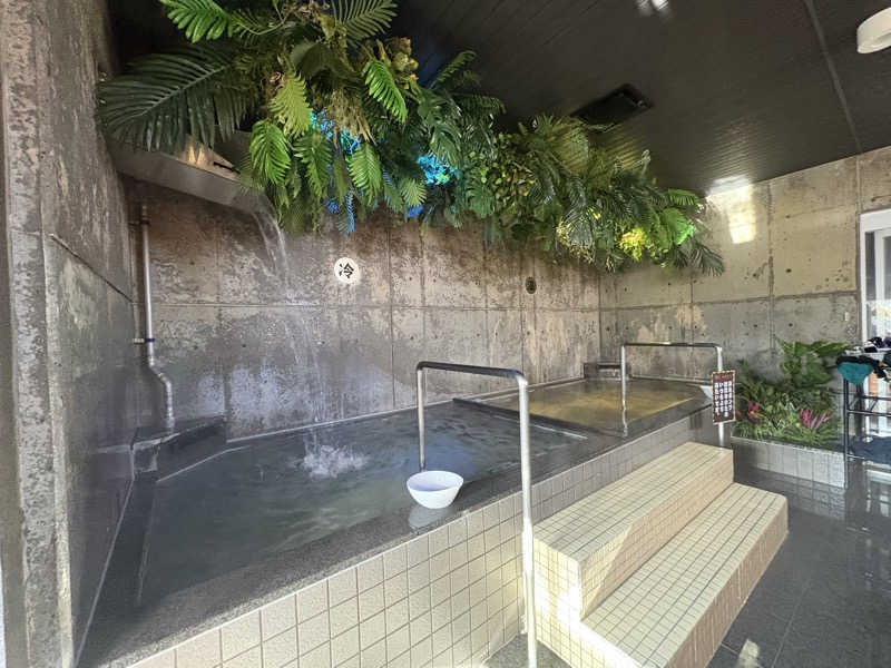 ヴィッケさんの天然温泉 大喜湯昭和店のサ活写真
