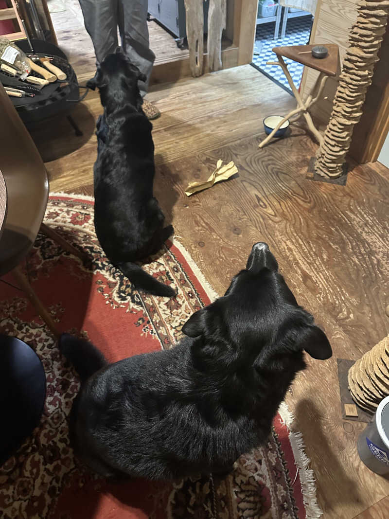 でぃーさんのkanrano saunaのサ活写真