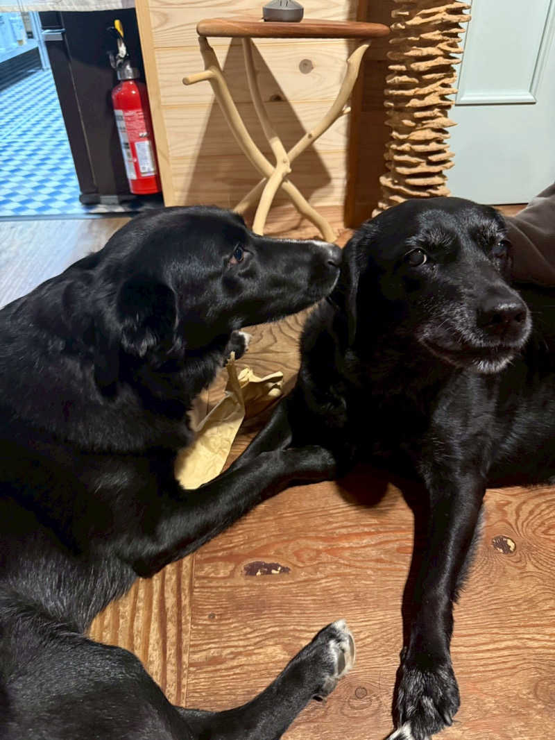 でぃーさんのkanrano saunaのサ活写真