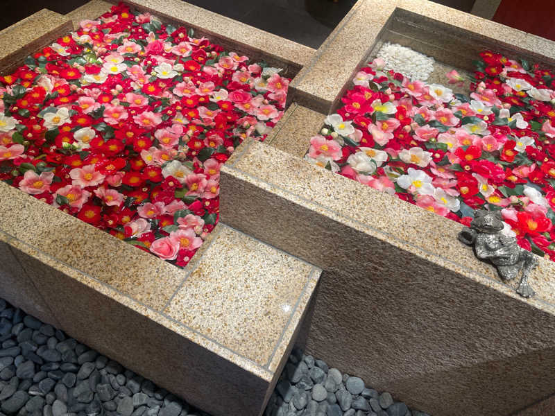 ナナナさんの綱島源泉 湯けむりの庄のサ活写真