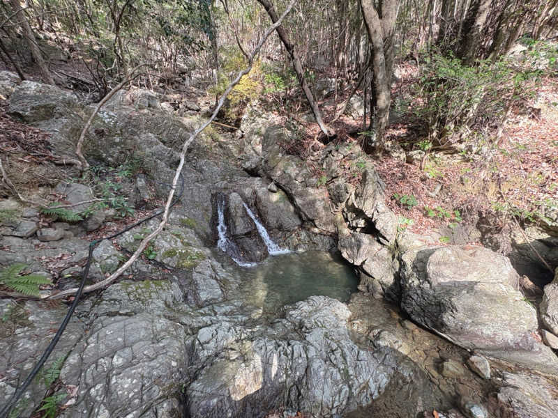 mojyamojya3u7さんの白瀧 森のサウナ-白瀧大明神のサ活写真