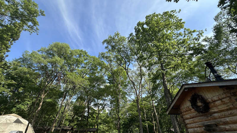 まる :ジム代表/理学療法士【長野市】さんのThe Saunaのサ活写真