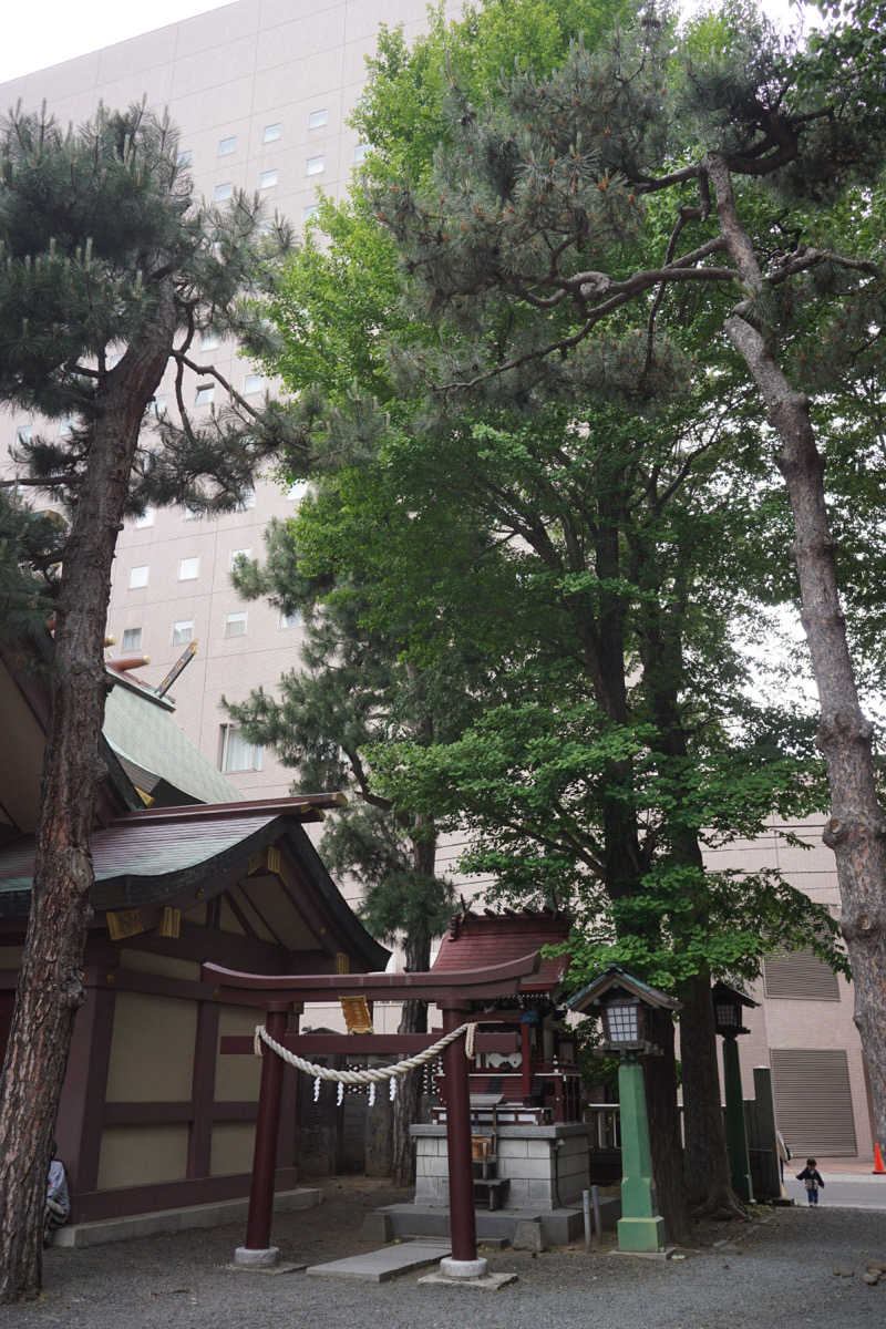 mitsuueさんの新琴似温泉 壱乃湯のサ活写真