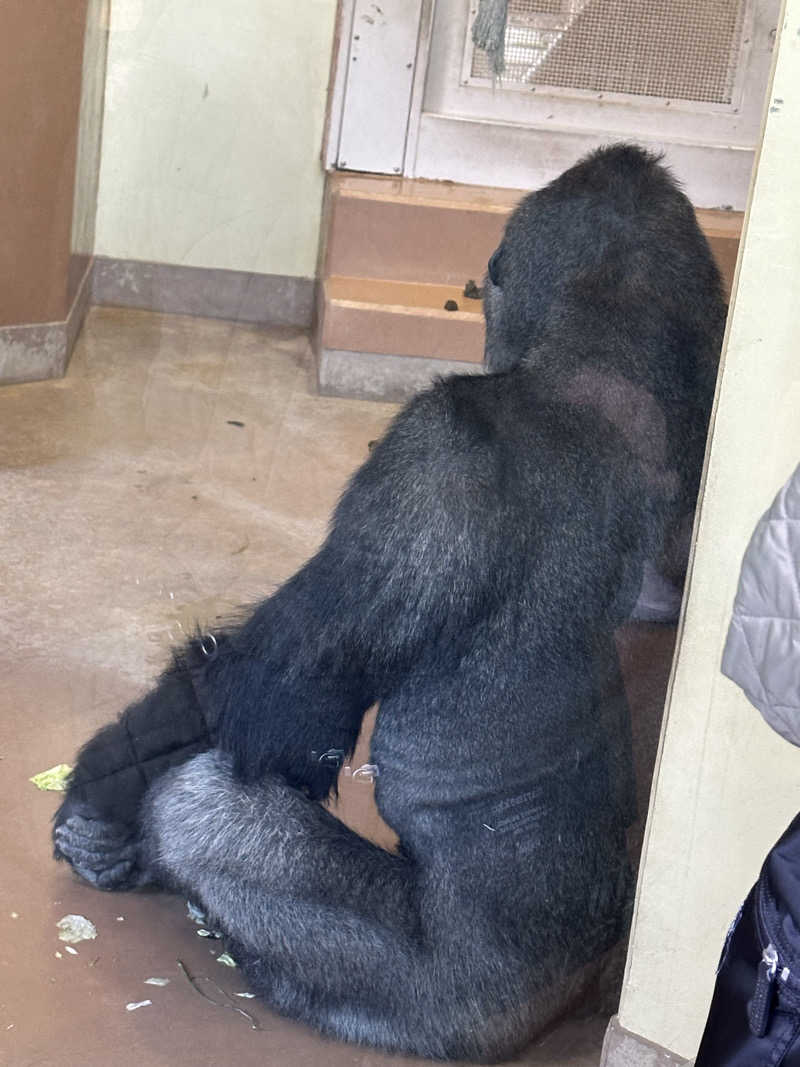 とんさんの大曽根温泉 湯の城のサ活写真