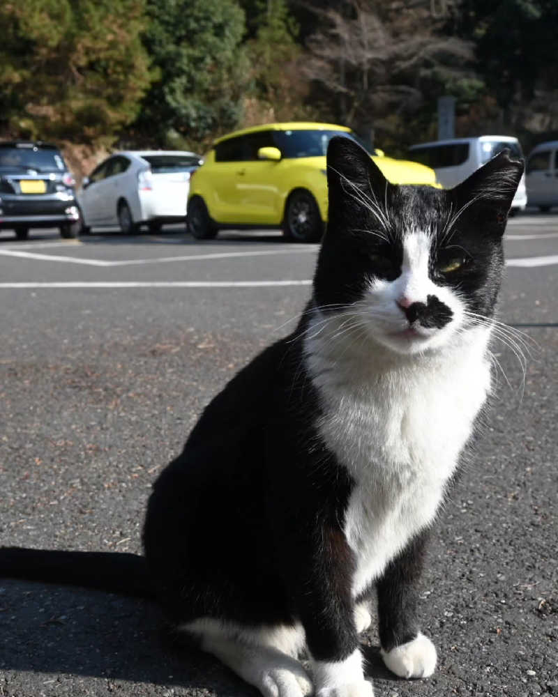 田舎のジャイアンさんの栃木天然温泉 いきいき夢ロマンのサ活写真