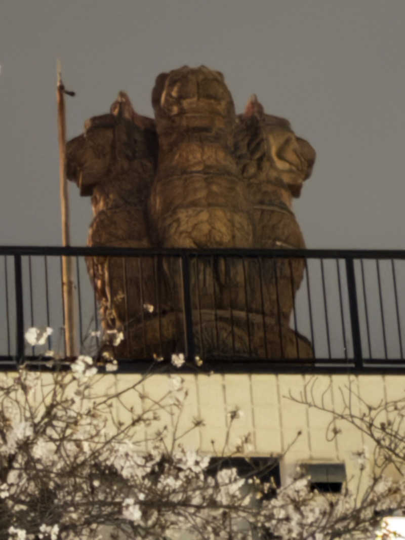 角まいだし。さんの中村浴場のサ活写真