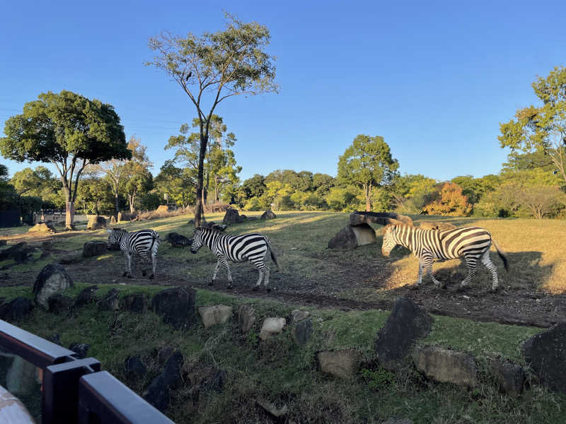 amazouさんの横濱スパヒルズ 竜泉寺の湯のサ活写真