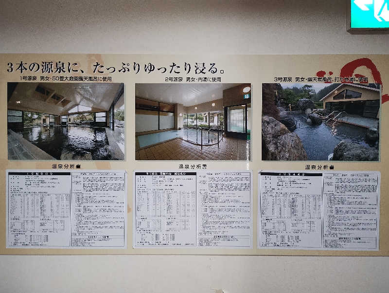 スキー温泉さんの多宝温泉 だいろの湯のサ活写真
