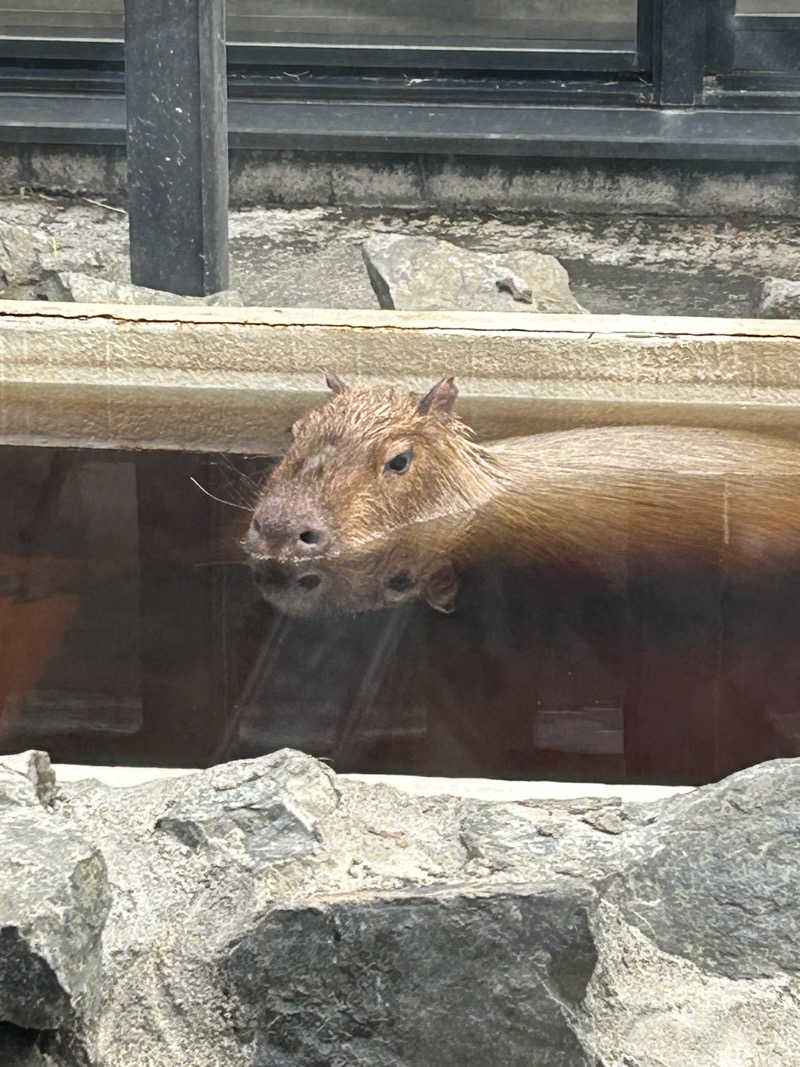 キンキン水風呂派さんの石狩天然温泉 番屋の湯のサ活写真