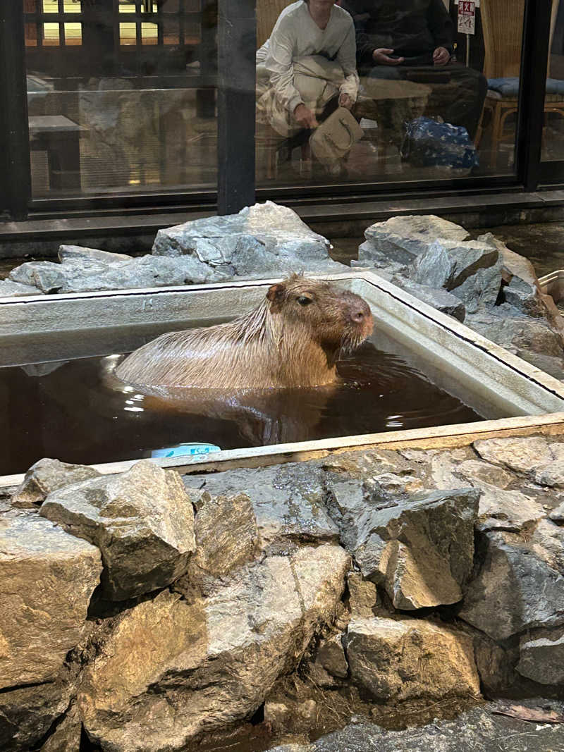 キンキン水風呂派さんの石狩天然温泉 番屋の湯のサ活写真