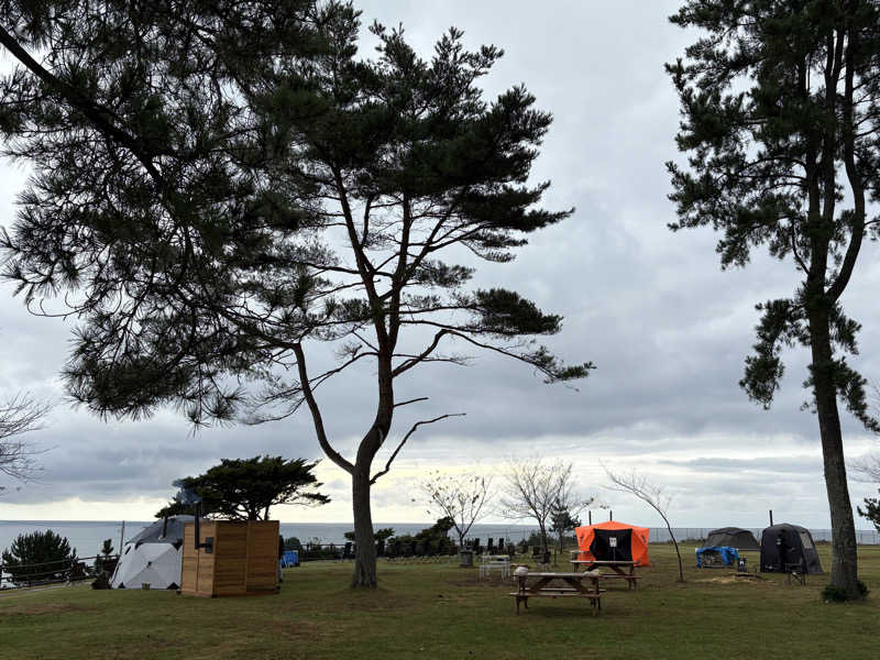 なみしゅん♨️さんの天神岬温泉しおかぜ荘のサ活写真