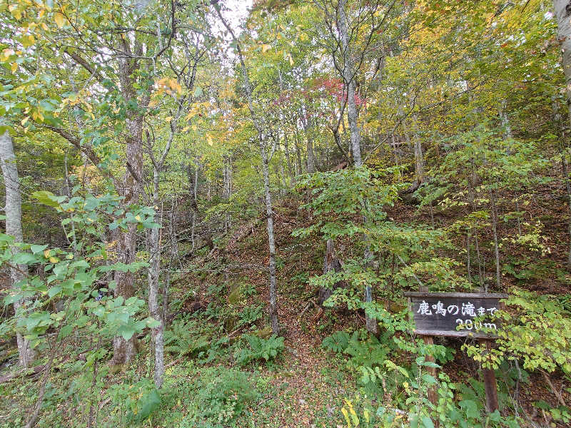 レオ.ヤブウチさんの日帰り入浴施設マウレ山荘ポッケの湯のサ活写真