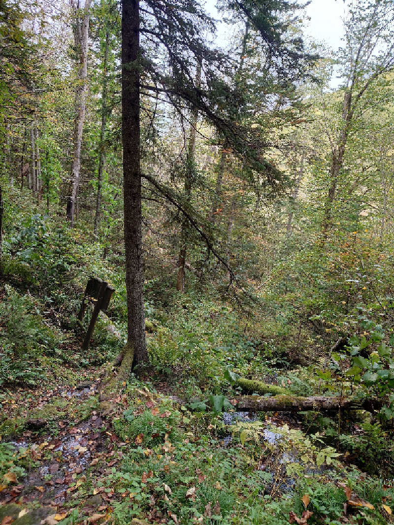 レオ.ヤブウチさんの日帰り入浴施設マウレ山荘ポッケの湯のサ活写真
