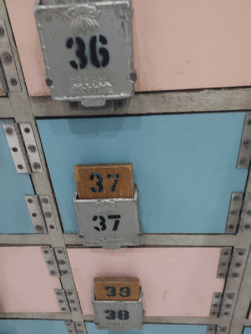 水風呂の中の河馬さんの宮下湯のサ活写真