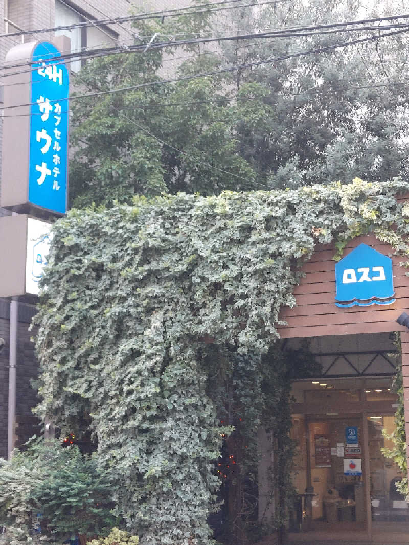 水風呂の中の河馬さんのカプセル&サウナ ロスコのサ活写真