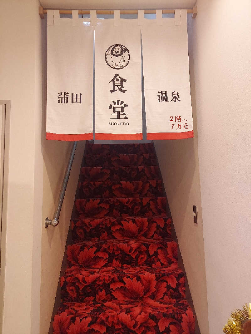 水風呂の中の河馬さんの蒲田温泉のサ活写真