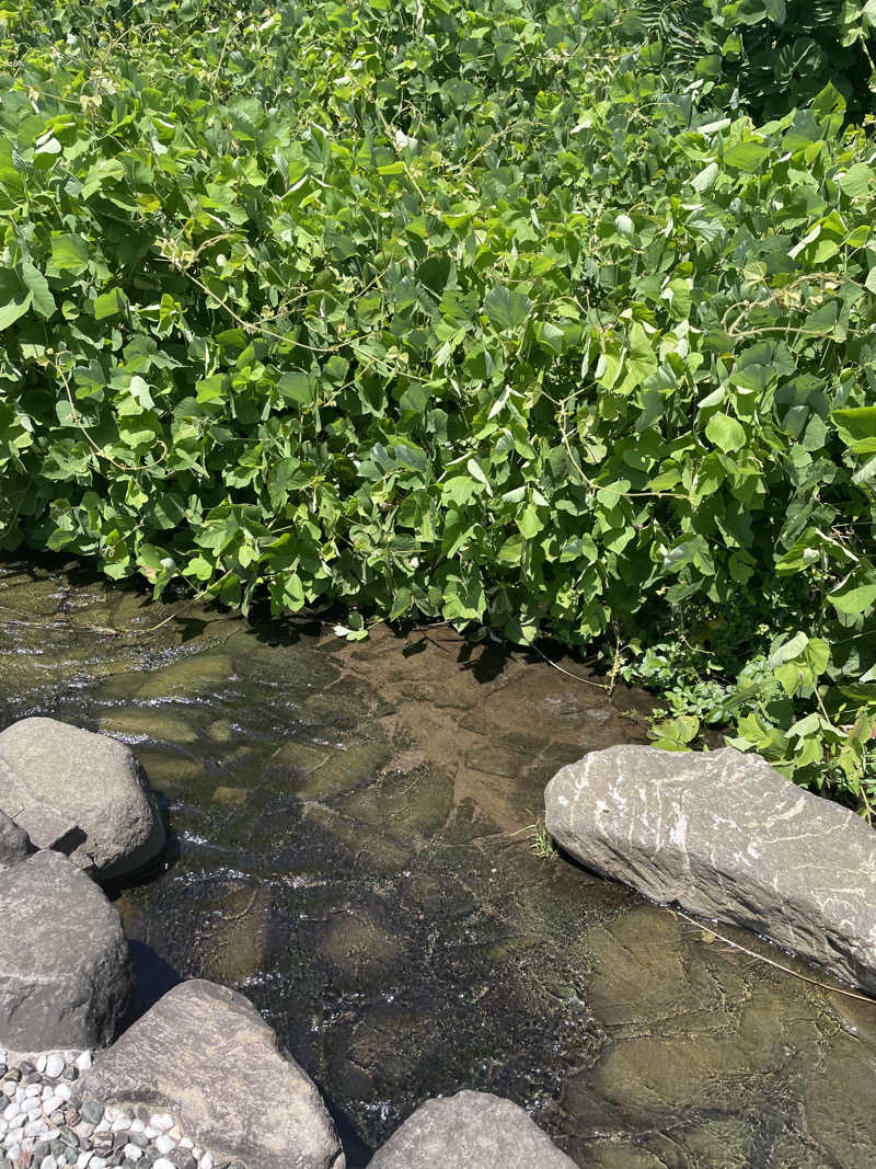 G.Aさんの上尾天然温泉 日々喜の湯のサ活写真