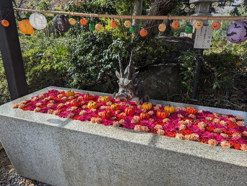 ラムさんのよみうりランド眺望温泉 花景の湯のサ活写真