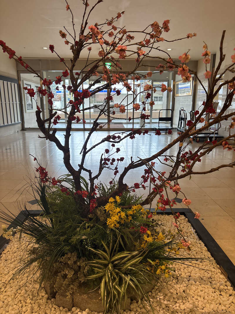 まーたんさんの亀の井ホテル 別府のサ活写真