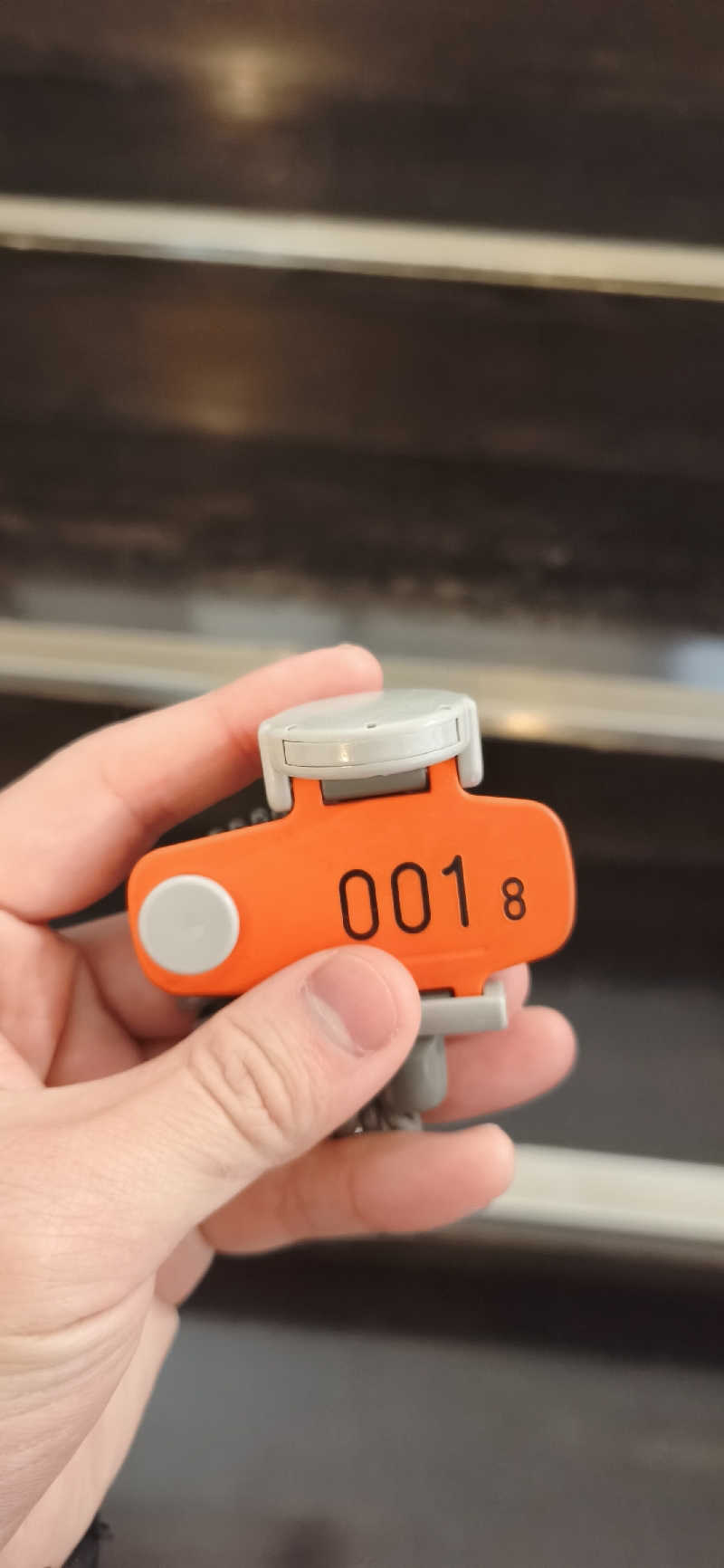 りみぃさんの多摩境天然温泉 森乃彩のサ活写真