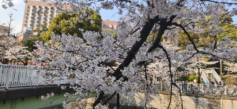 りみぃさんの多摩境天然温泉 森乃彩のサ活写真