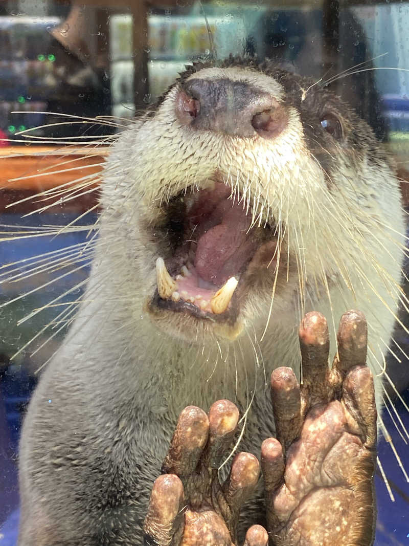 ヒデさんの松阪温泉GURUSPAのサ活写真
