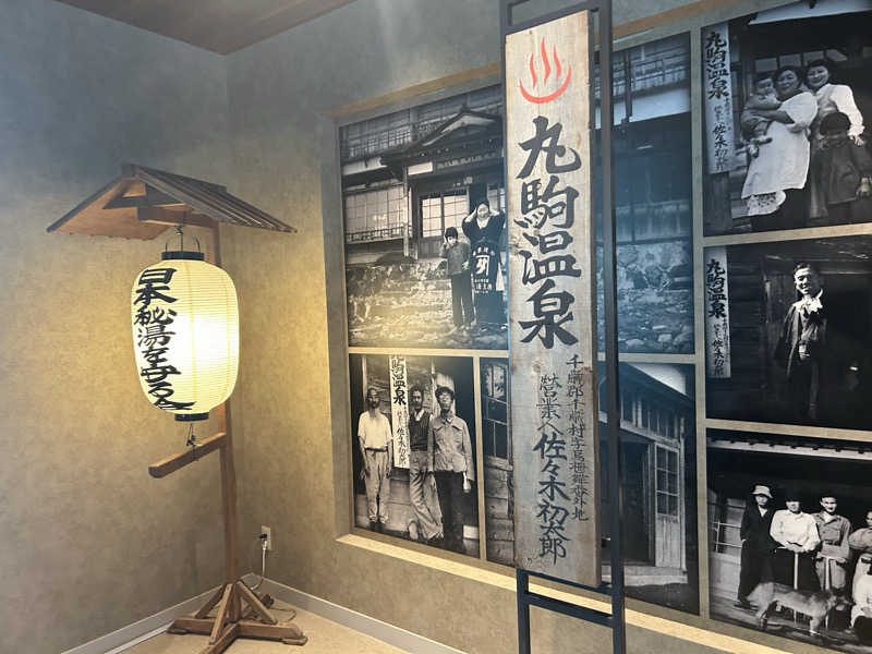 mnmさんの奥札幌の秘湯 湖畔の宿支笏湖 丸駒温泉旅館のサ活写真