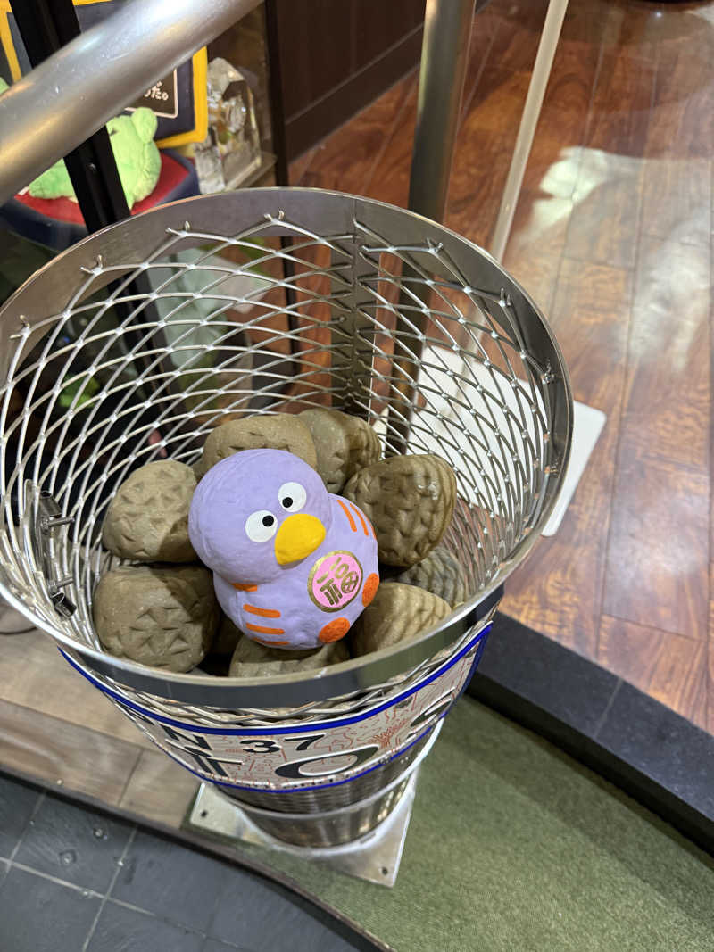 shibamonさんの湯乃泉 草加健康センターのサ活写真