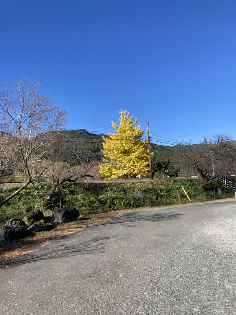 バーダックさんの大井川鐵道 川根温泉ホテルのサ活写真