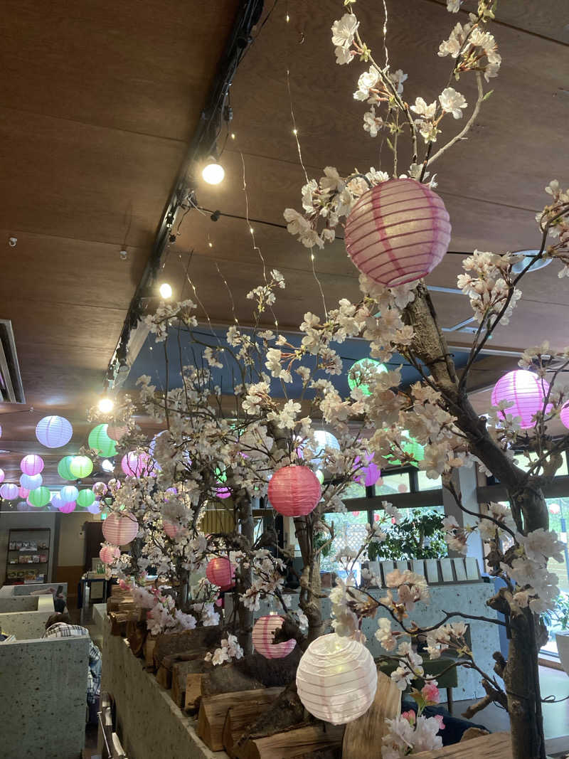 バーダックさんのおふろcafe bijinyu | 美肌湯のサ活写真