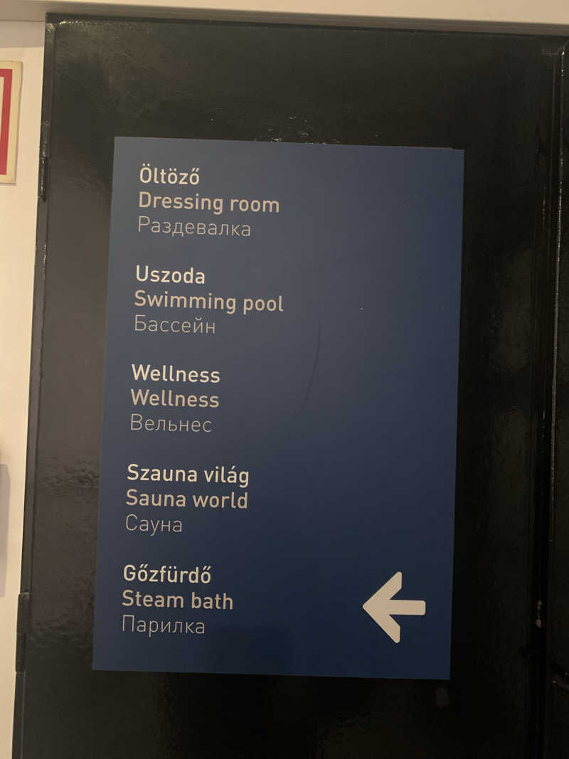 Taisei Yashiroさんのルダシュ温泉のサ活写真