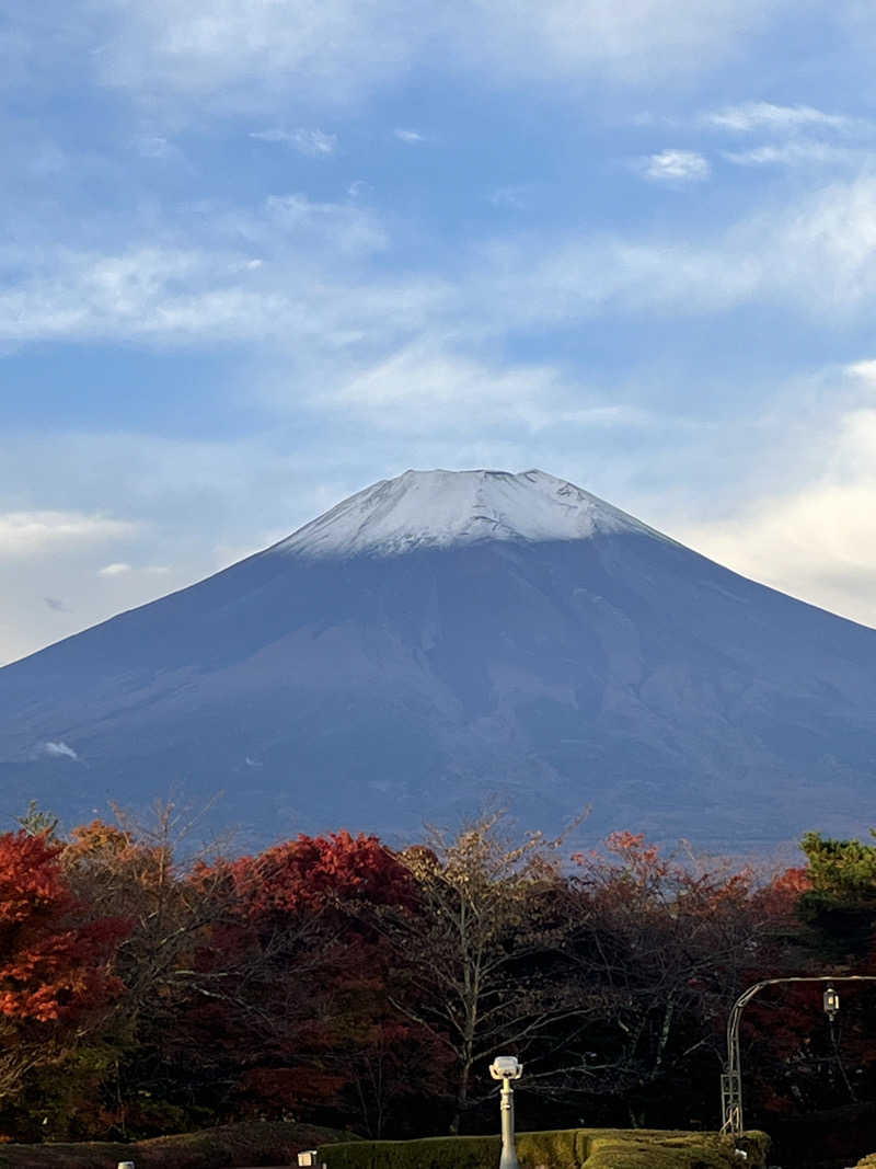 げきからつけめんさんのホテルマウント富士のサ活写真