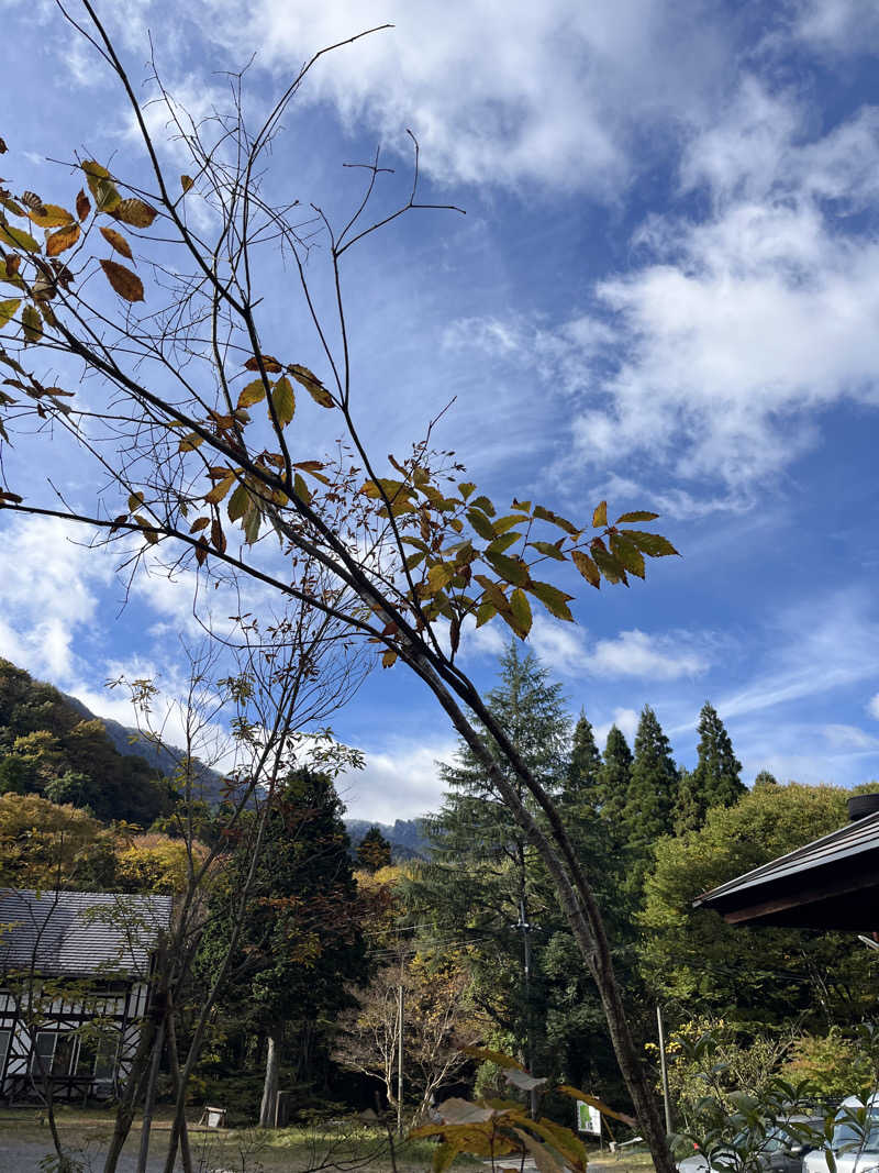 げきからつけめんさんのREBUILD SAUNA (LAMP豊後大野)のサ活写真