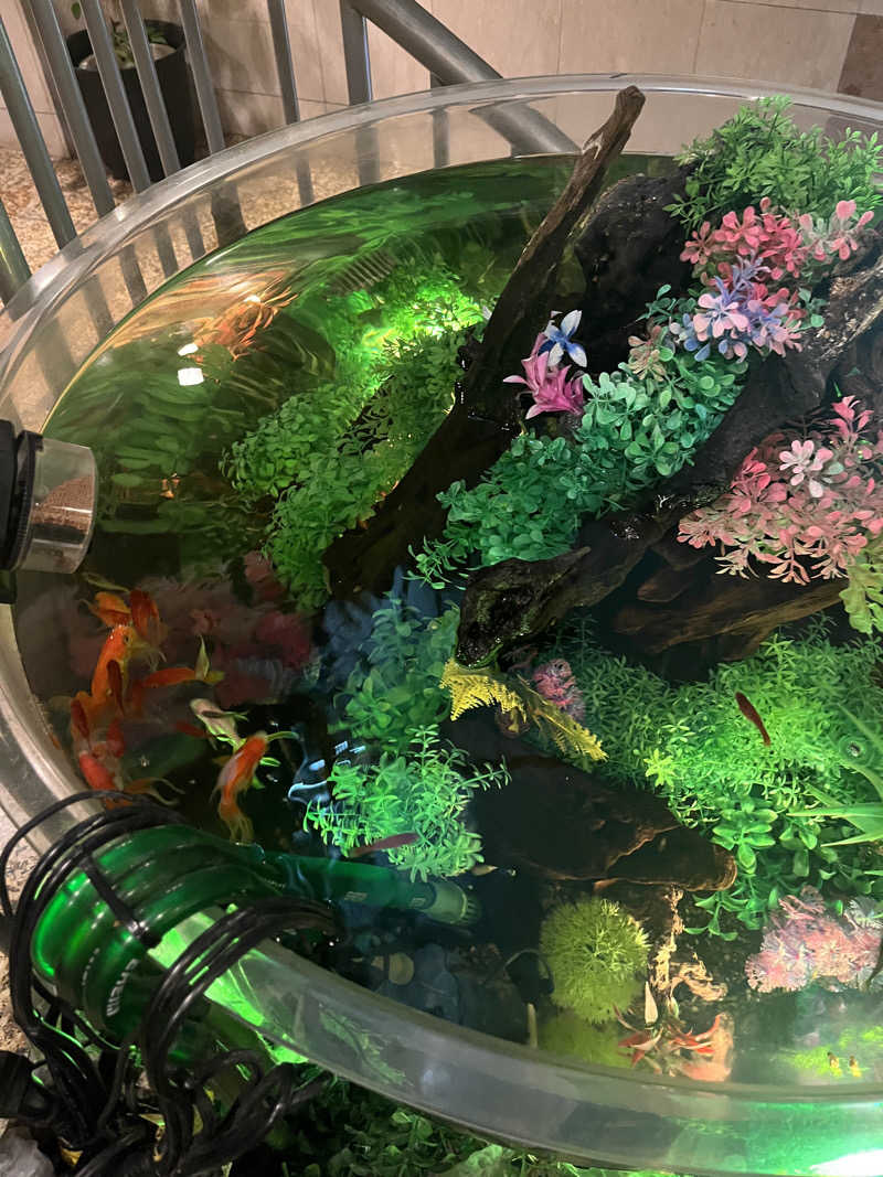 げきからつけめんさんのウェルビー福岡のサ活写真