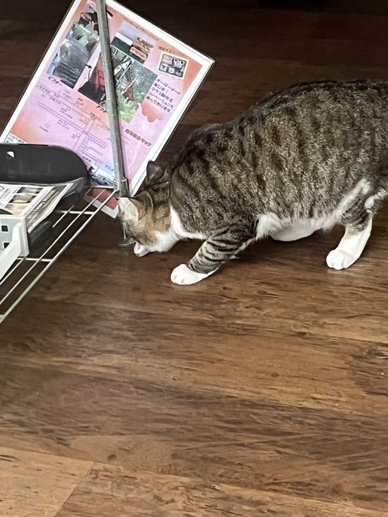 げきからつけめんさんのヌルヌル有田温泉のサ活写真