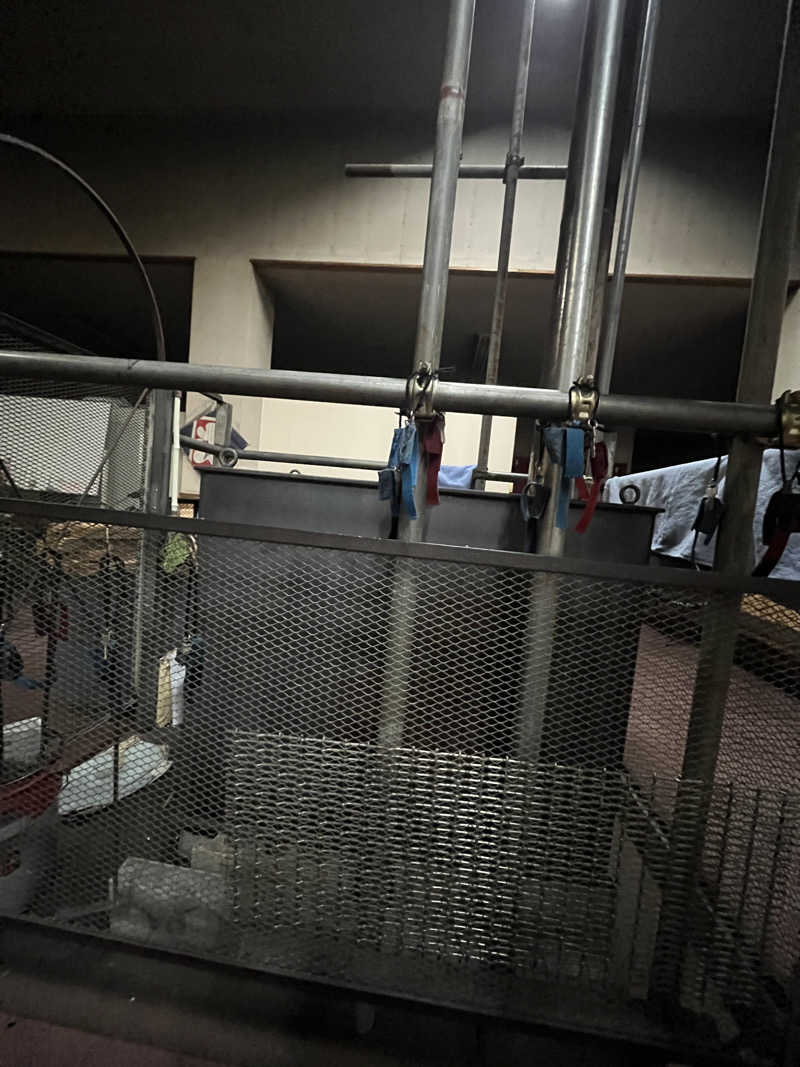 げきからつけめんさんの御湯神指しベストパワーランドのサ活写真