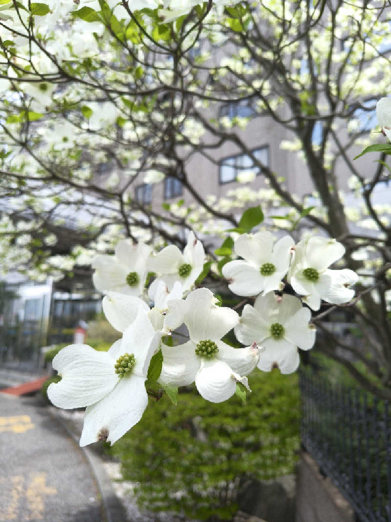 黒竜さんの信州健康ランドのサ活写真
