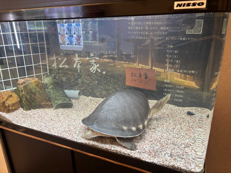 ちえさんの松本湯のサ活写真