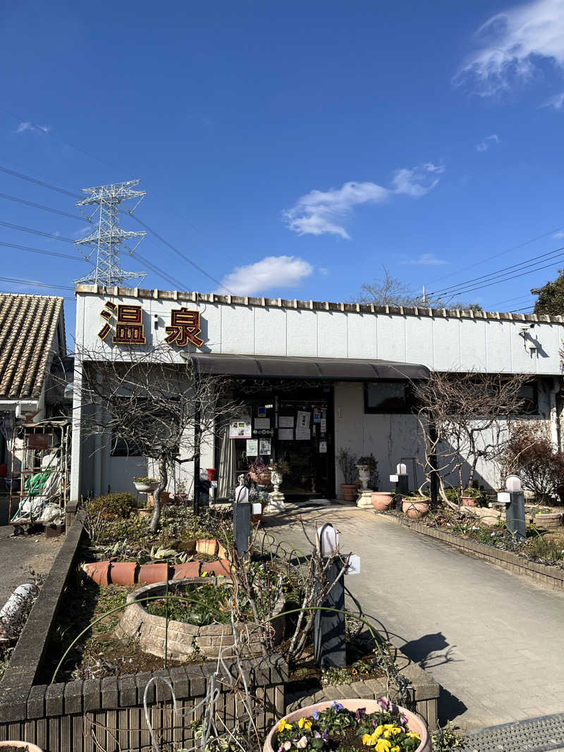 蒸し男さんの天然温泉リゾート美人の湯 カーニバルヒルズのサ活写真