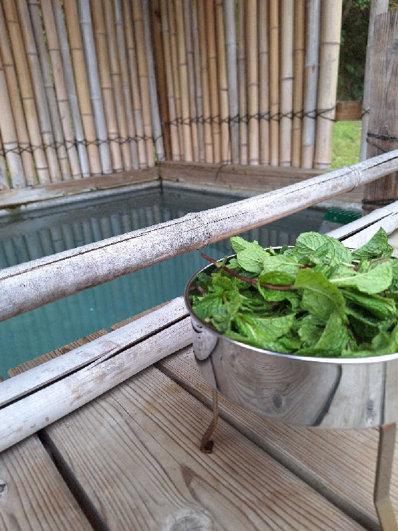 kazusan1091さんの山ノサウナ 廃校を貸切でのサ活写真