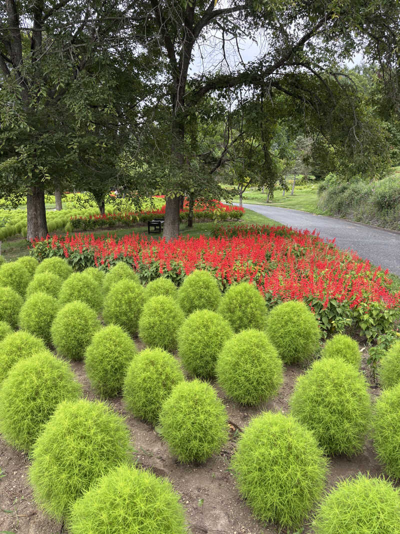 サウラーゴルボーさんのユンニの湯のサ活写真