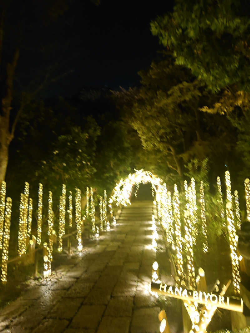 フラリーマンサウナーさんのよみうりランド眺望温泉 花景の湯のサ活写真