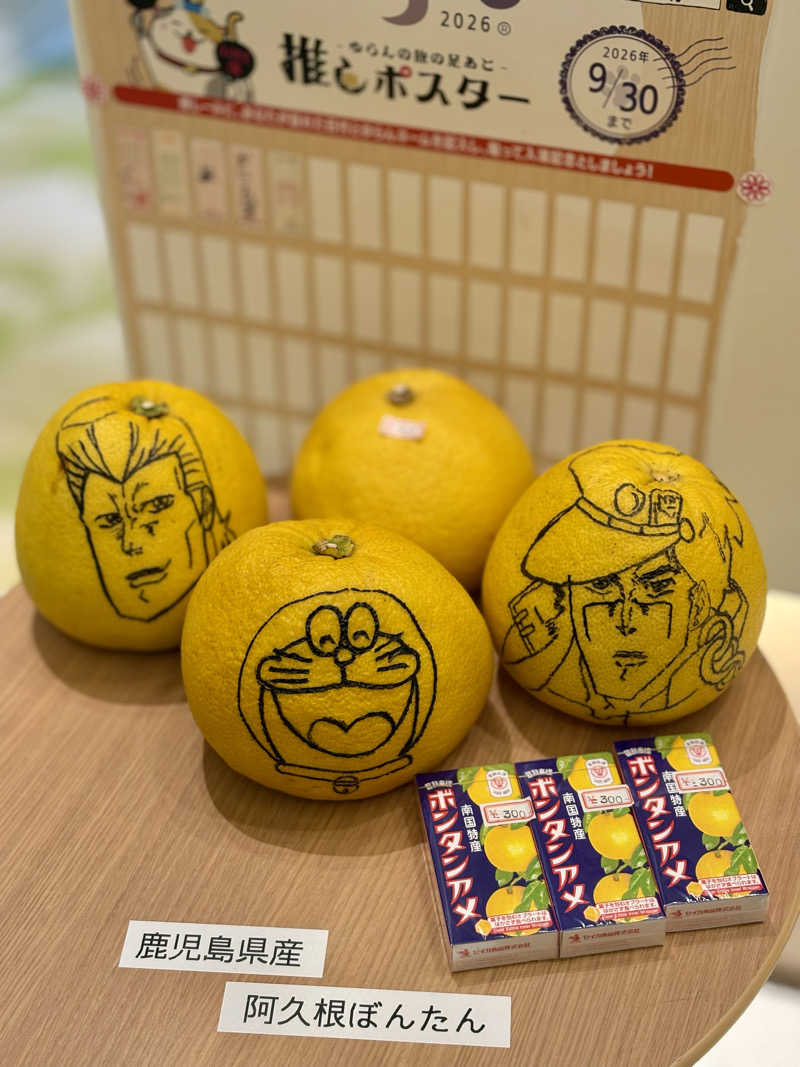 Niaさんのぽかぽか温泉 新守山乃湯のサ活写真